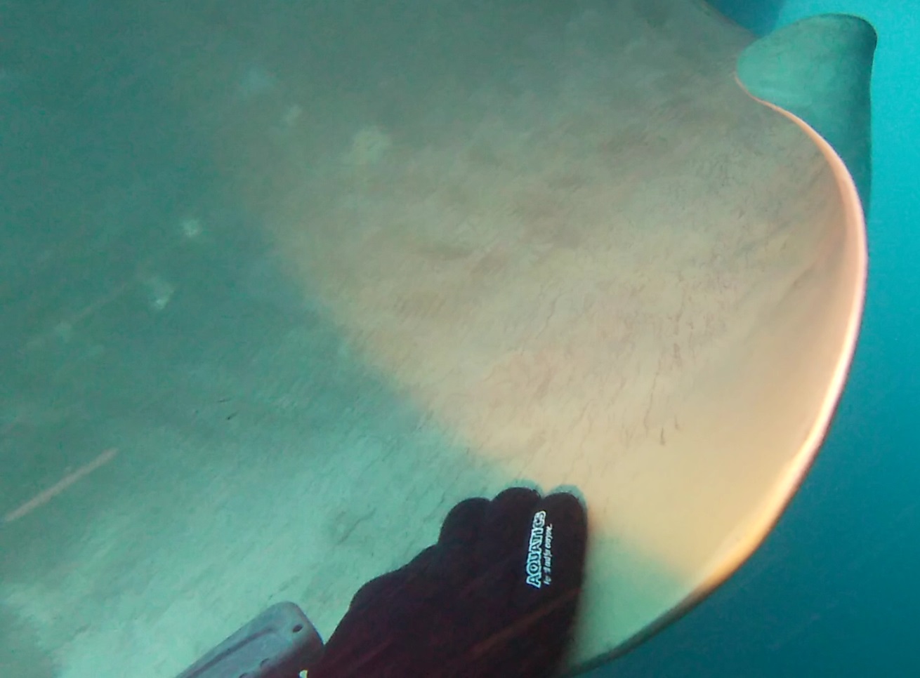 propeller blade underwater survey